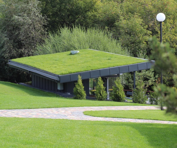 Dach-Beispiel Begrünung  